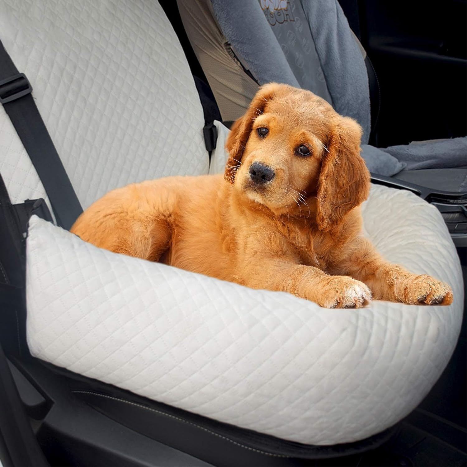 Dog Car Seat for Small Dogs Or Cats, Detachable Non-Slip Dog Travel Car Carrier Bed with Clip-On Safety Leash and Removable Washable Cover