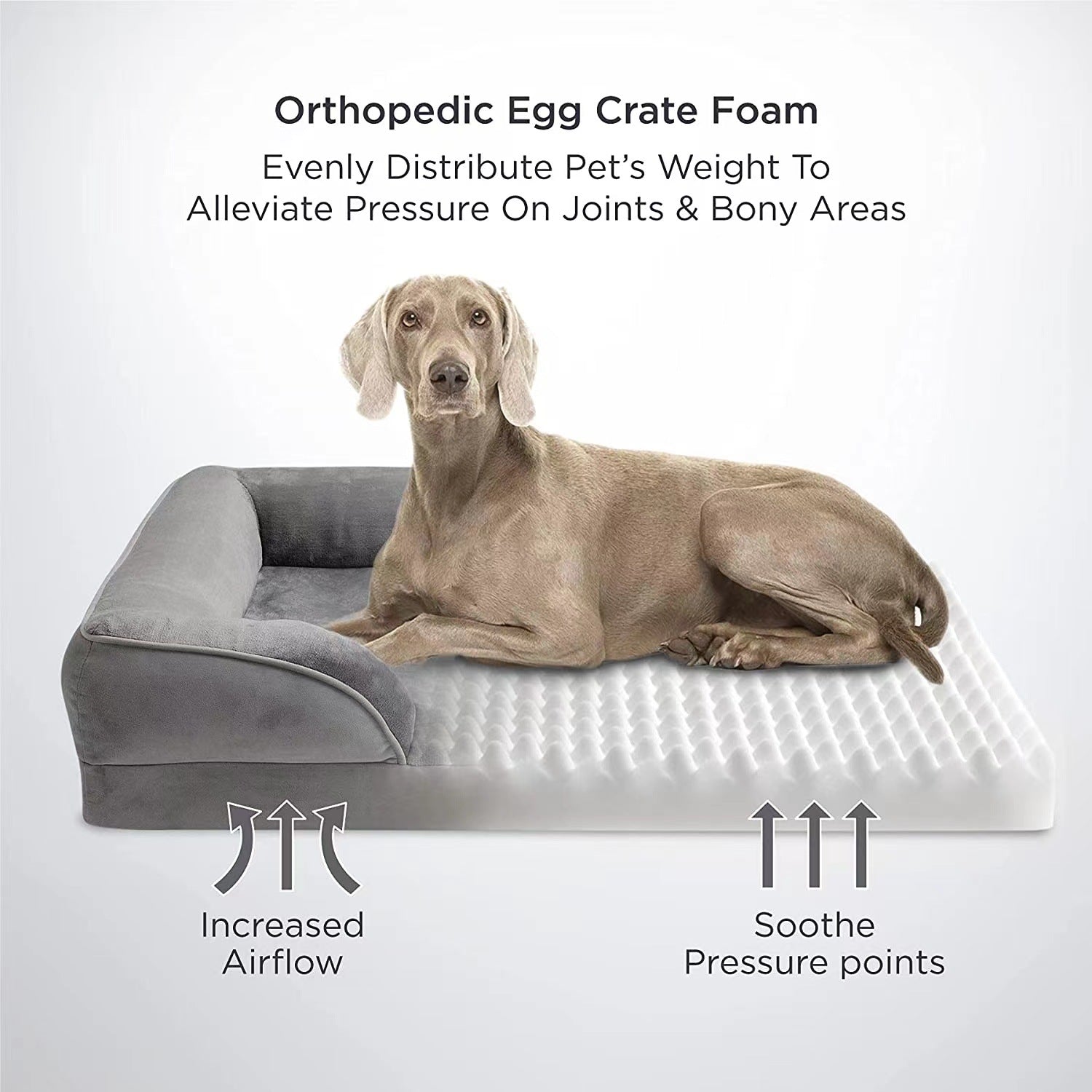 Dog Sofa Bed Medium, Supportive Foam Pet Couch Bed with Removable Washable Cover